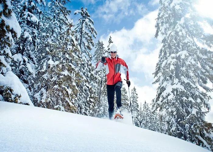In Near Slopes Alpendorf (Salzburg)
